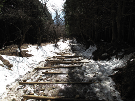 20170118hike (429)